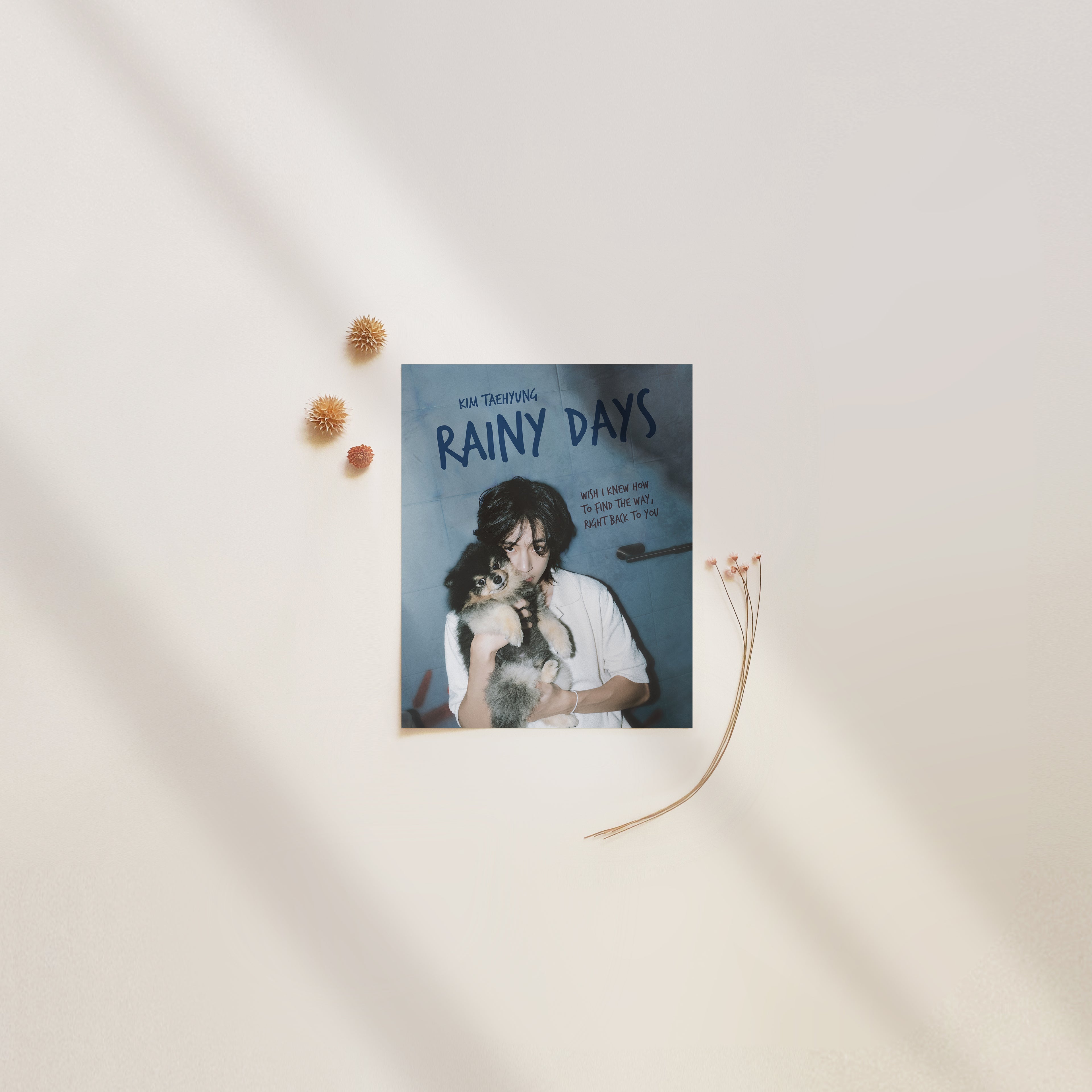 Rainy Days V Taehyung Print