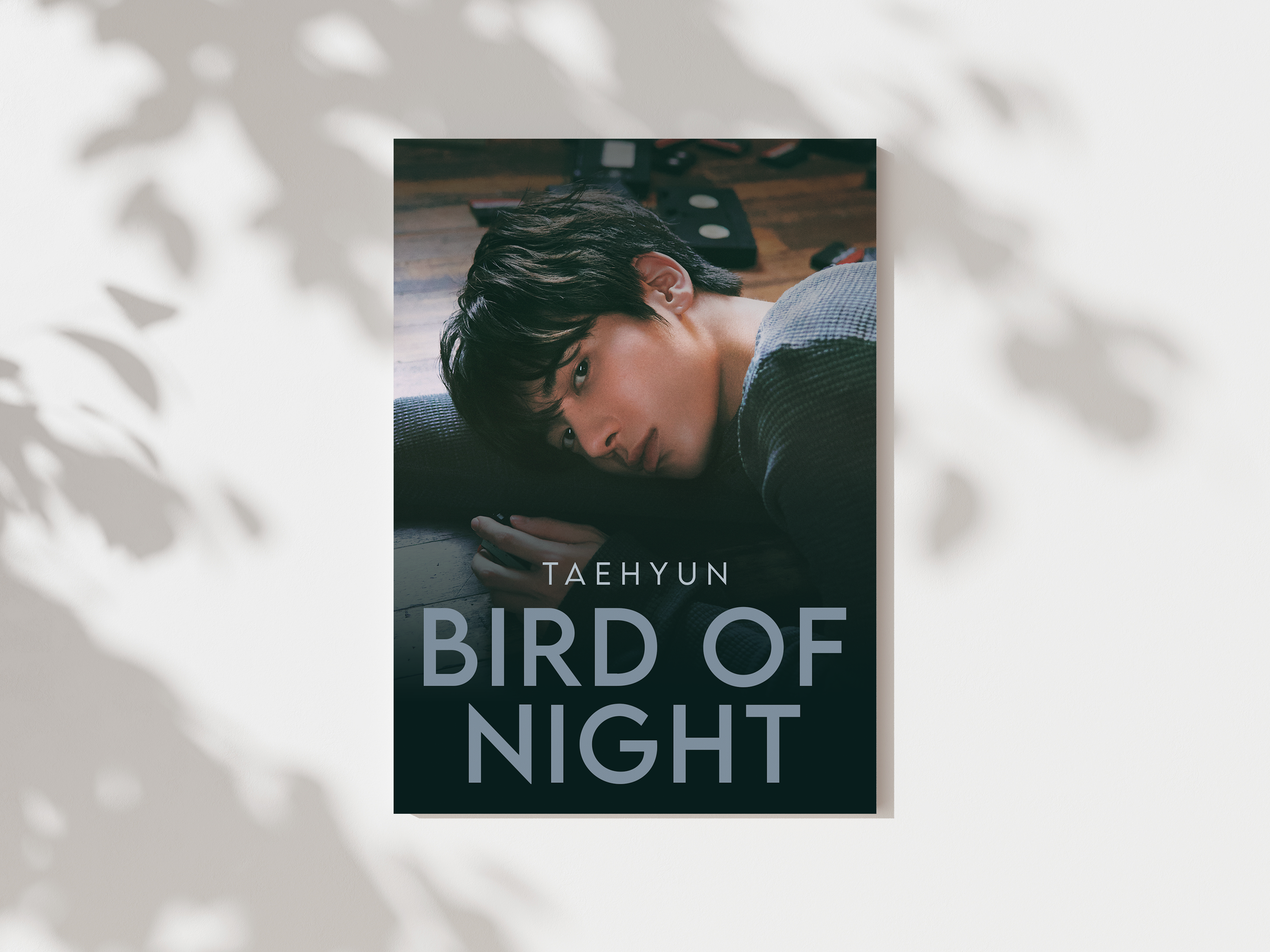 Bird of Night Taehyun Print