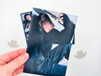 Sunghoon Big Girls Don't Cry Sin Vanish Bias Pack