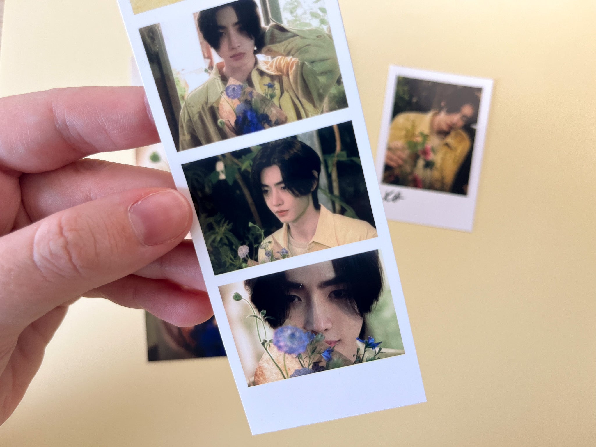 Sunghoon Romance Untold Bias Pack
